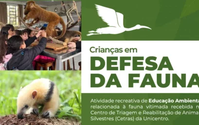 Centro de Triagem e Reabilitação de Animais Silvestres promove ação com crianças para conscientização sobre a fauna