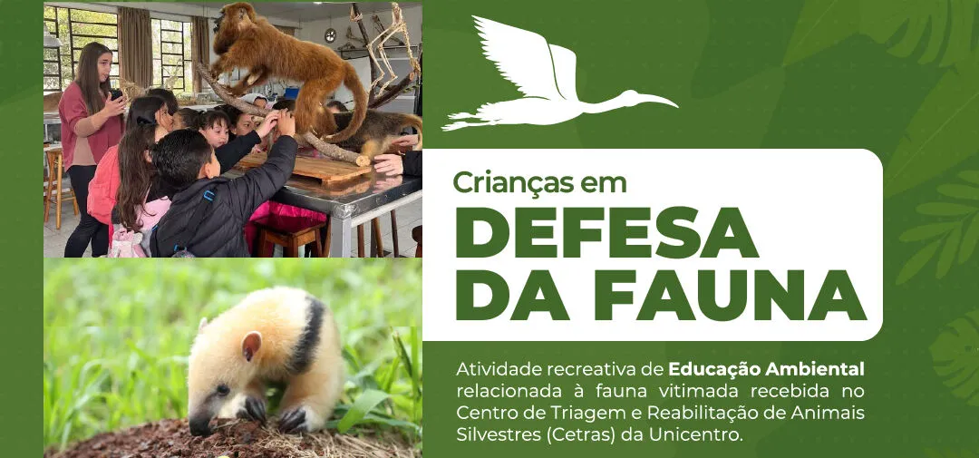 Centro de Triagem e Reabilitação de Animais Silvestres promove ação com crianças para conscientização sobre a fauna