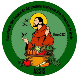 Design sem nome (44)