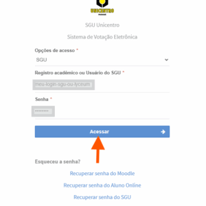 Campos de identificação para login preenchidos