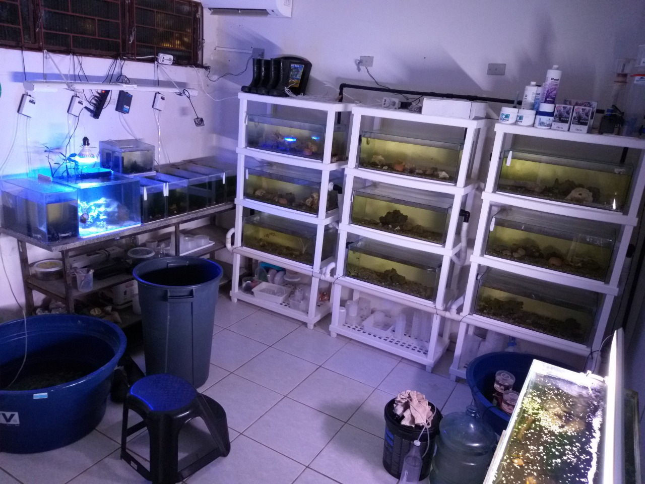 biologia-aquatica1