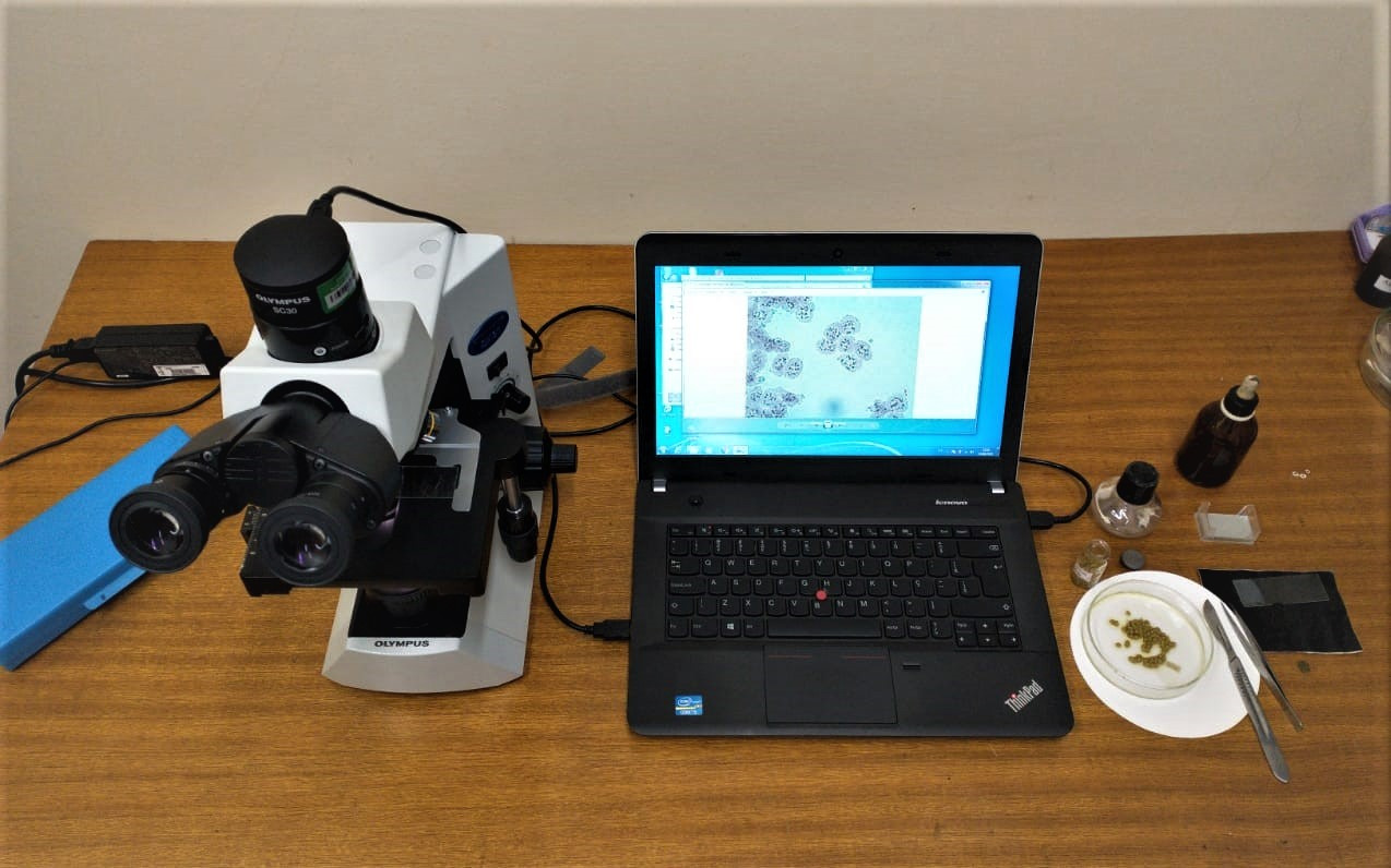 citogenetica1