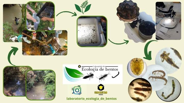 edambiental2
