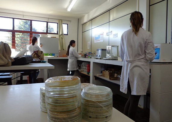 microbiologia