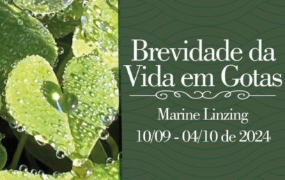 Brevidade da Vida em Gotas por Marine Linzing