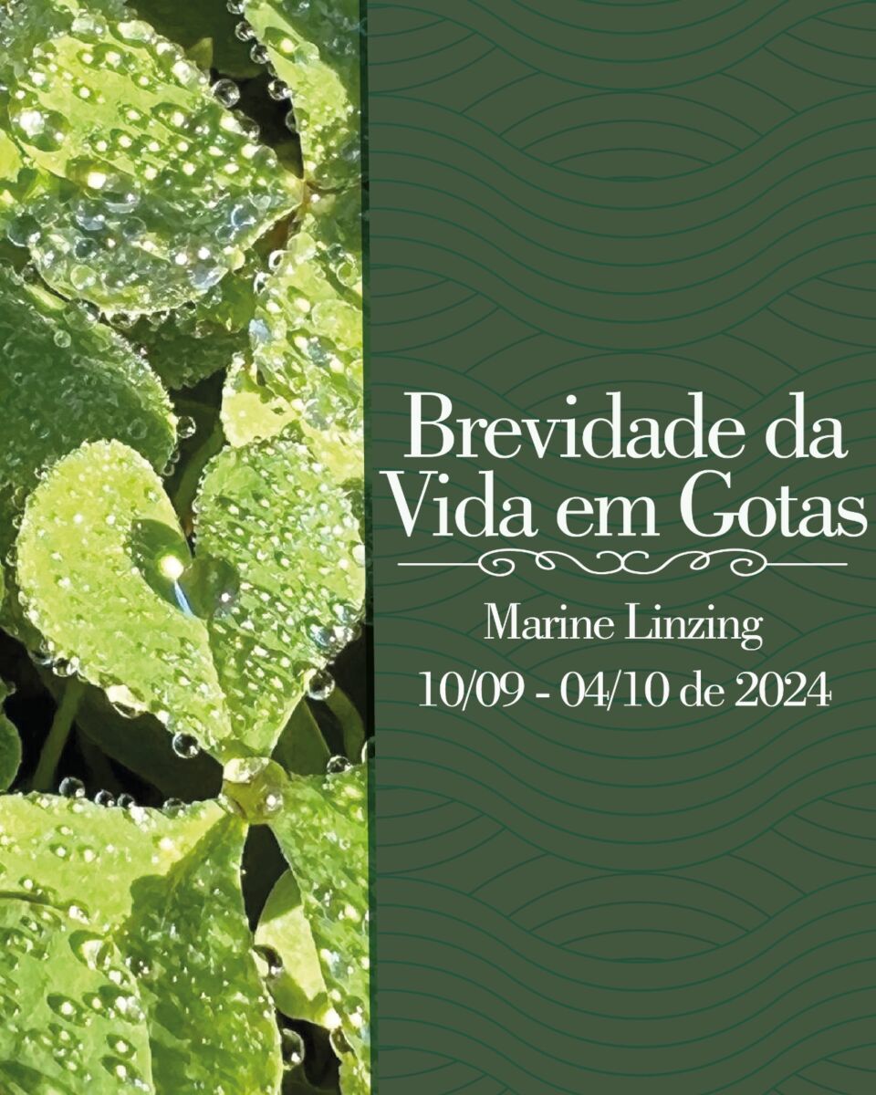 Brevidade da Vida em Gotas por Marine Linzing