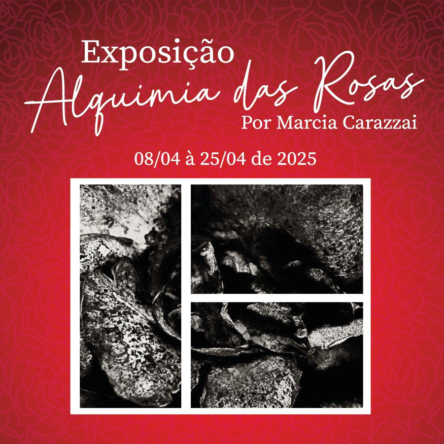 “Alquimia das Rosas” por Márcia Carazzai