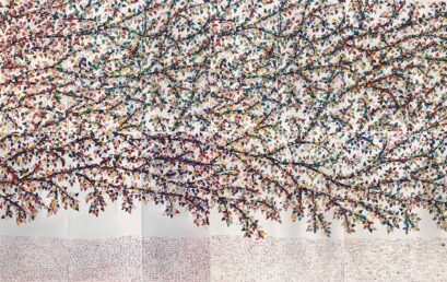 ‘Projeto A Árvore: biomas brasileiros’ promove reflexão sobre valores humanos, arte e sustentabilidade nas escolas