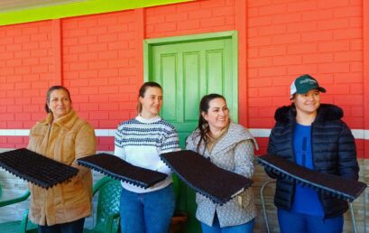 InovaLab já capacitou mais de 180 mulheres da região com oficinas gratuitas