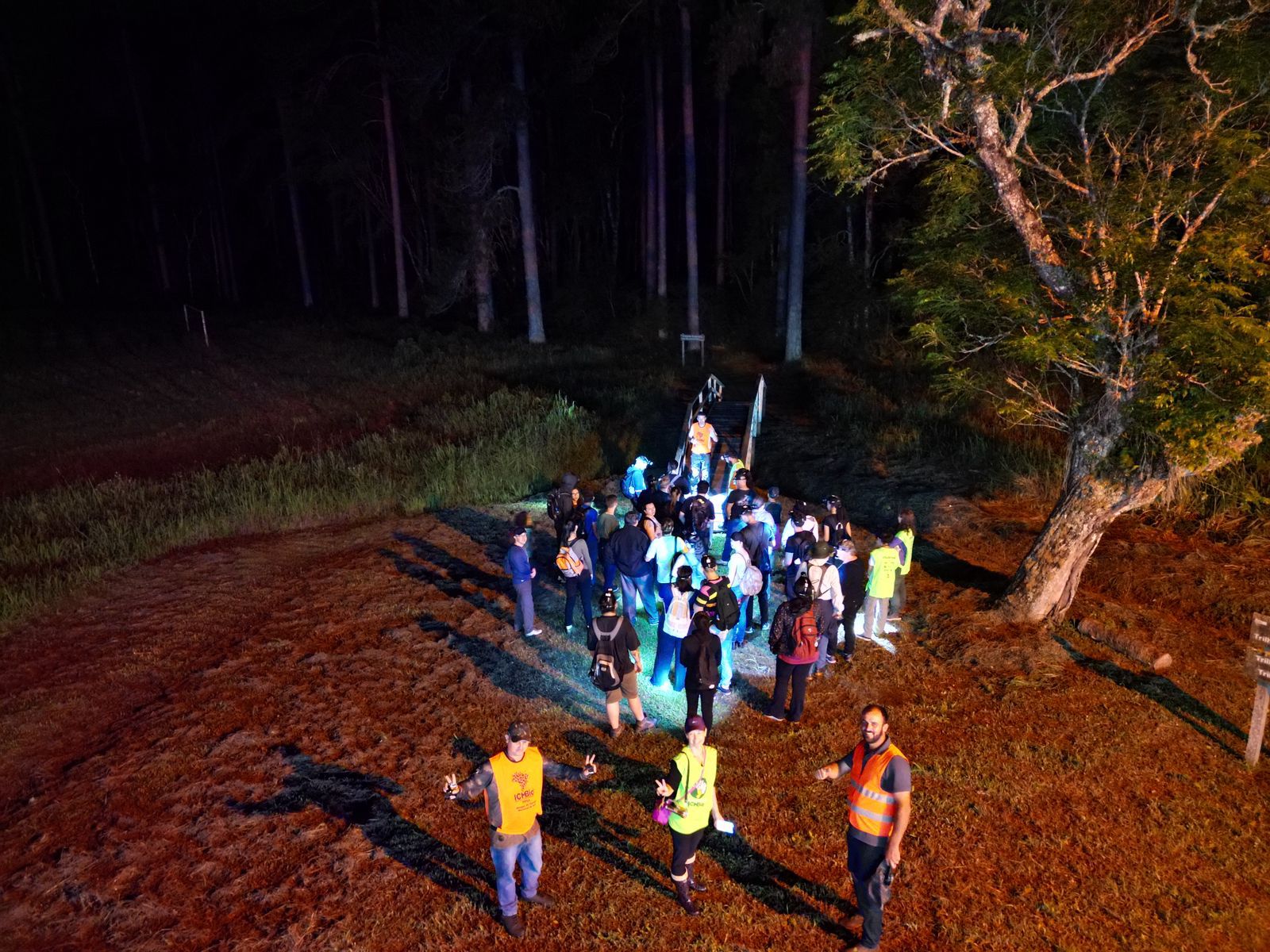 Acadêmicos e professores de Geografia participam de trilha noturna na Floresta Nacional de Irati