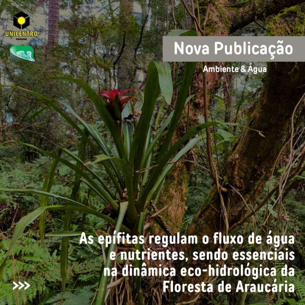 Publicacao