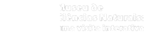 Mantodea | Museu de Ciências Naturais: uma visita interativa