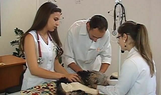 Clínica-Escola de Veterinária atende em várias especialidades