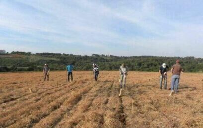 Agrisus Brasil auxilia produtores da região de Gurapuava