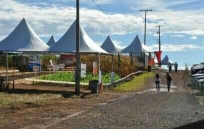 Plantio direto: Dia de Campo de Verão reforça a sustentabilidade dessa prática