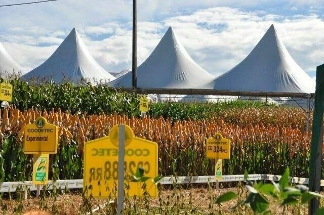 Unicentro encerra participação no Dia de Campo