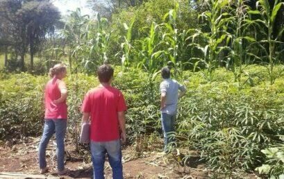 Programa de certificação de produtos orgânicos recebe visita de auditores
