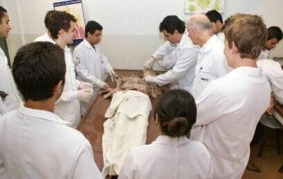 Falta de cadáveres para estudos pode comprometer a formação de profissionais da área da saúde