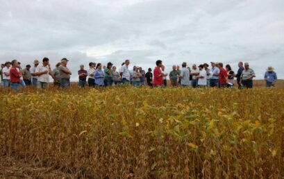 Unicentro participa ativamente do Dia de Campo 2014