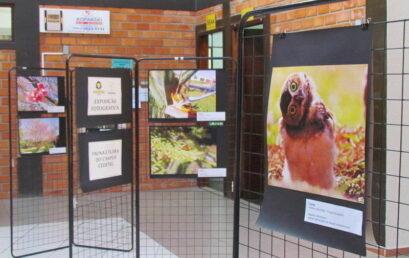 Exposição fotográfica sobre o Cedeteg segue até o dia 21