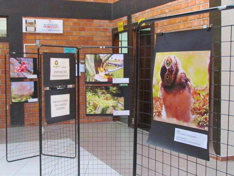 Exposição fotográfica sobre o Cedeteg segue até o dia 21