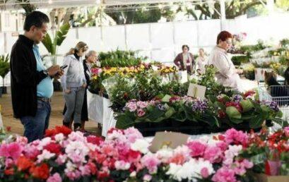 1ª Expoflor conta com a participação de alunos de Comunicação