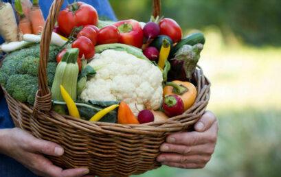 Feira Agroecológica da Unicentro comemora sete anos de criação