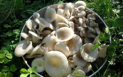 Após a conquista, equipe vencedora do Prêmio Santander 2013 projeta novas ações