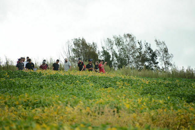 Fazenda-Escola realiza Unicentro Rural, seu segundo dia de campo