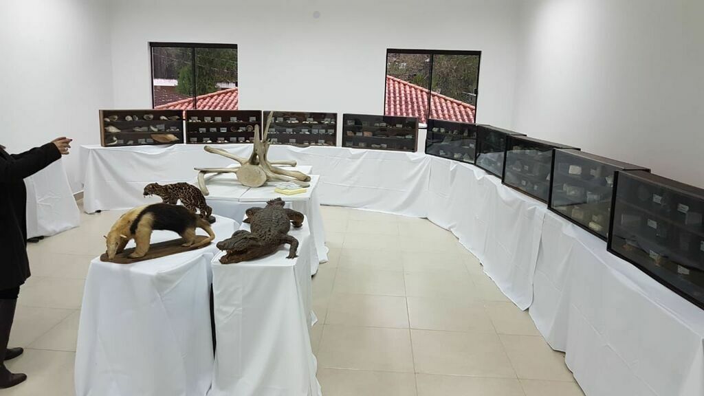 Museu de Ciências Naturais expõe acervo itinerante no Paraguai