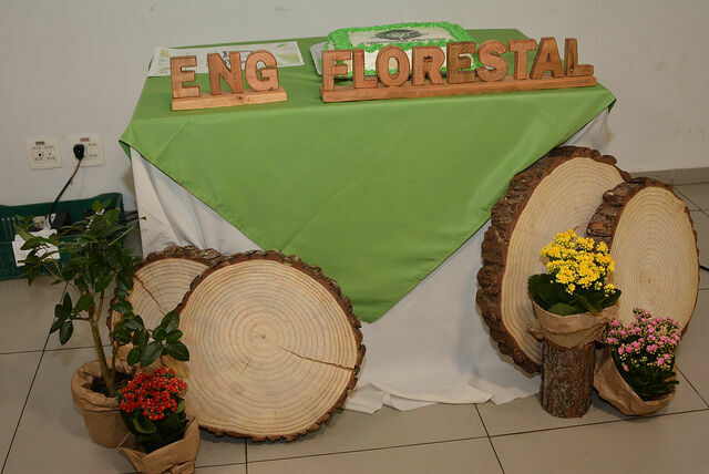 Curso de Engenharia Florestal da Unicentro comemora 20 anos