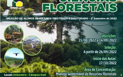 Programa de Pós-Graduação em Ciências Florestais está com inscrições abertas para novos alunos