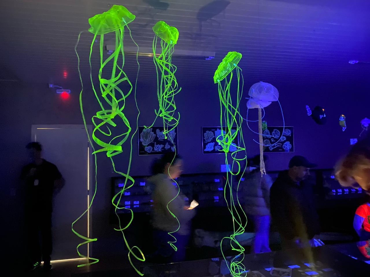 Museu de Ciências Naturais de Guarapuava promove a inédita “Noite Luminescente” com oficinas e observação astronômica