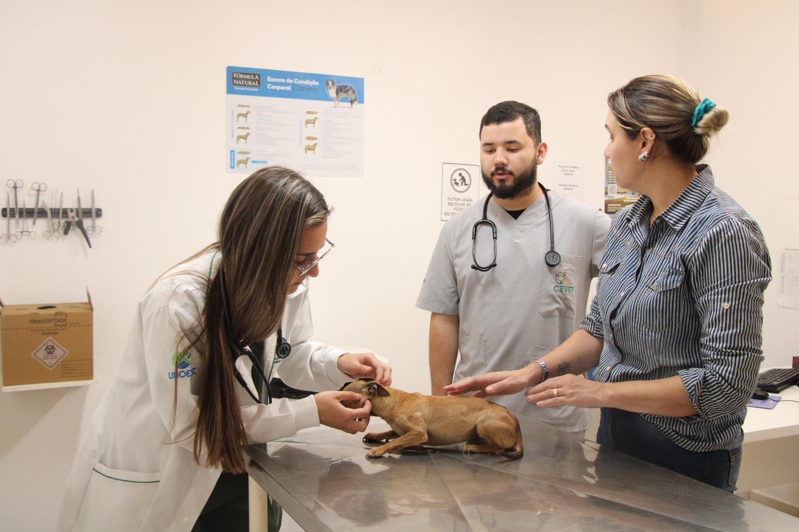 Unicentro fortalece atendimento veterinário com novo centro cirúrgico e mais ambulatórios