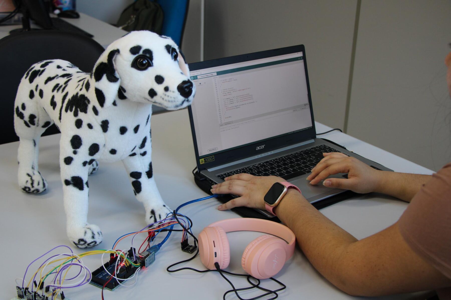 Parceria interdisciplinar da Unicentro usa tecnologia para criar modelo didático de coração de cachorro