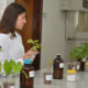 Inscrições abertas para o Programa de Pós-Graduação em Ciências Florestais