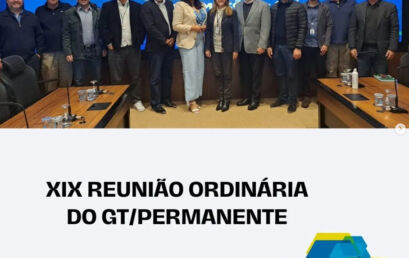XIX REUNIÃO EXTRAORDINÁRIA DO GT/PERMANENTE SEPARTEC