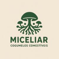 ChatGPT Image 28_10_2025, 11_35_14