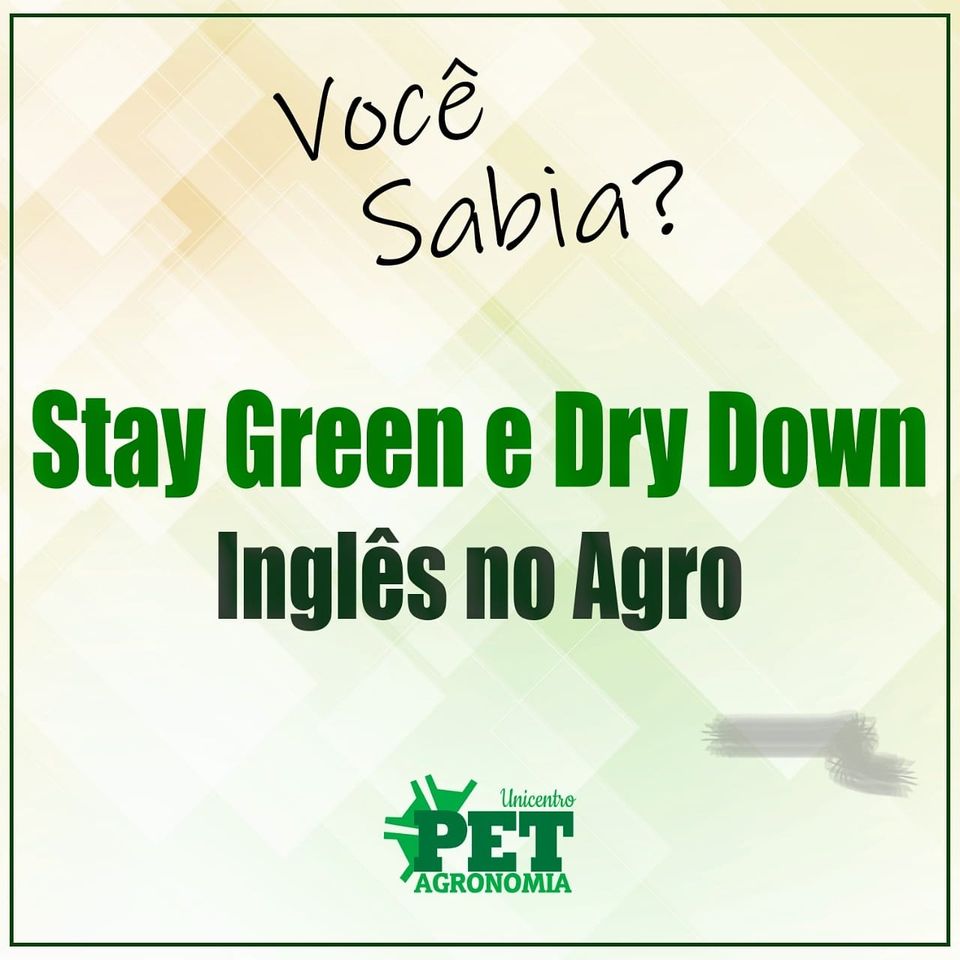 Você sabia? Você sabia?