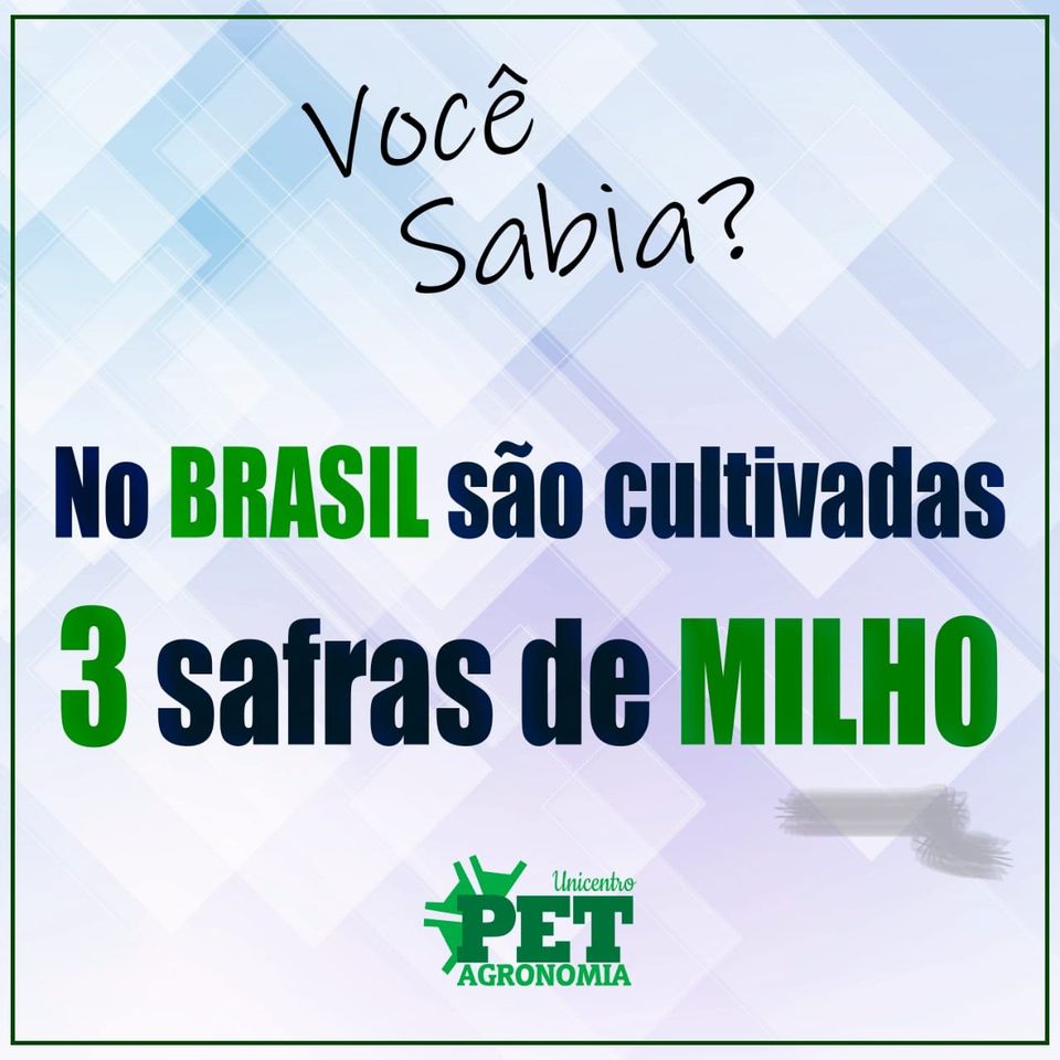 Você sabia?