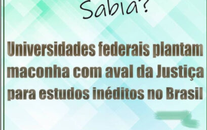 Você sabia: Universidades federais plantam maconha com aval da justiça para estudos inéditos no Brasil