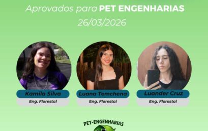 RESULTADO – PET ENGENHARIAS