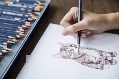 desenhe animais com lápis 