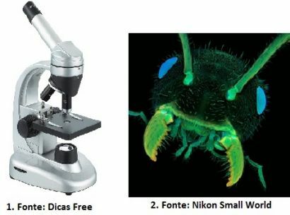 Microscópios: um olhar diferente