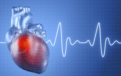A física do batimento cardíaco