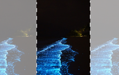 Mar Bioluminescente