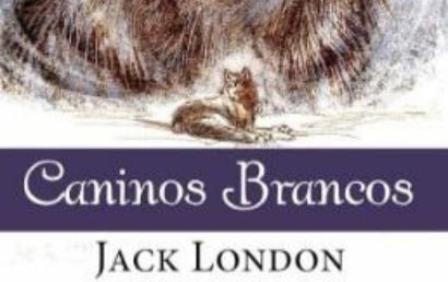 Caninos Brancos