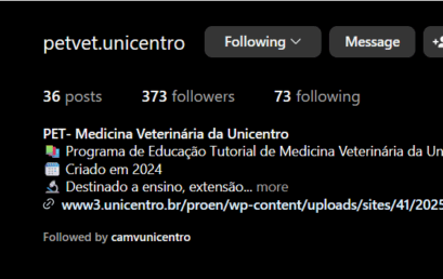 Instagram PET Veterinária