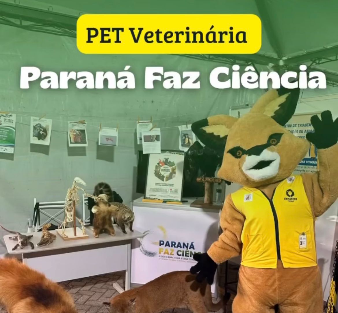 PET-Veterinária no Paraná Faz Ciência PET-Veterinária no Paraná Faz Ciência