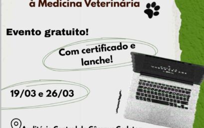 Gestão estratégica de marcas e produção de conteúdo aplicada à medicina veterinária